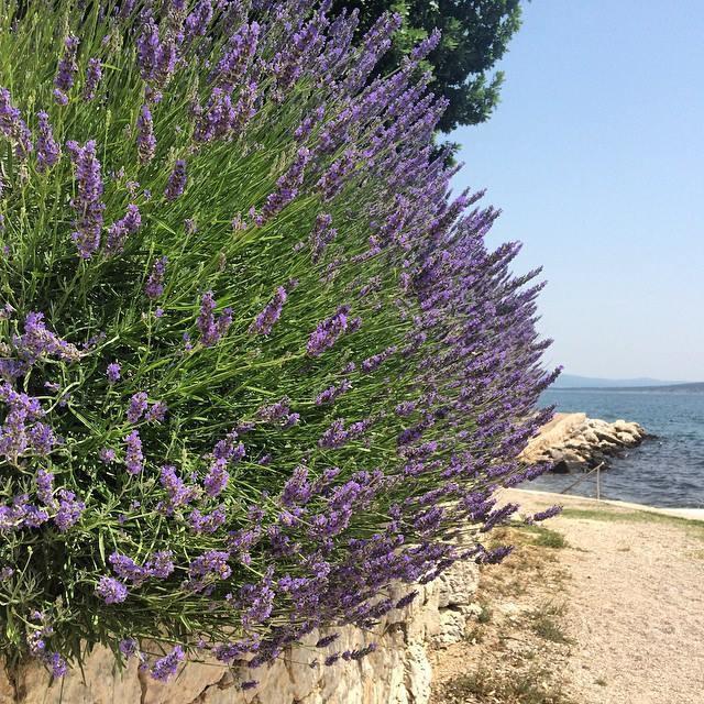 Apartman Mare Maslenica Esterno foto
